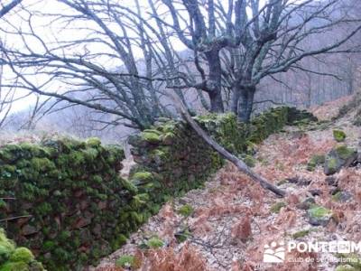 El Valle del Ambroz y la Judería de Hervás - Hervás PR-CC 36 La Chorrera;informacion sobre el tej